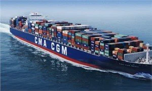 LCL Sea Shipping Forwarder Service From China To France